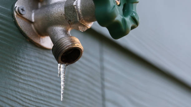 Best Residential Plumbing Services  in Florence, KY